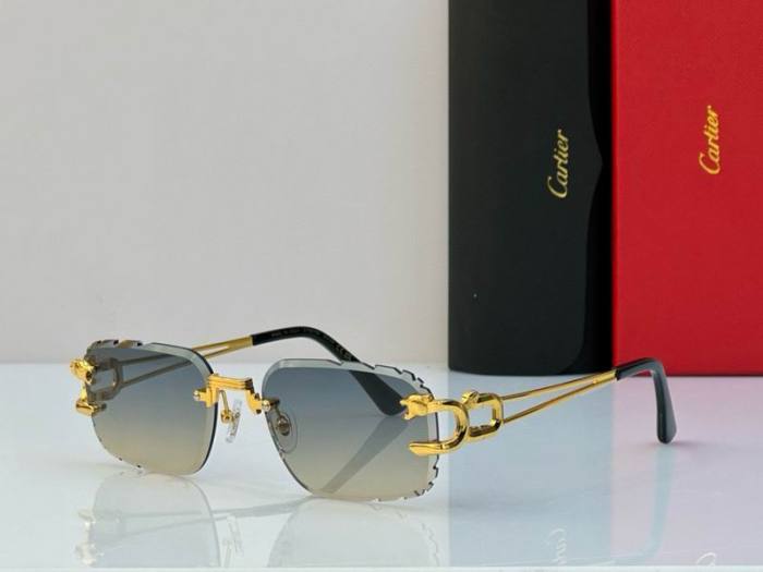 CTR Sunglasses AAA-558
