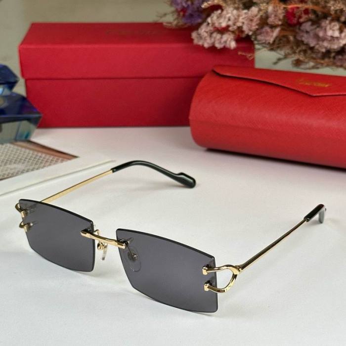 CTR Sunglasses AAA-563