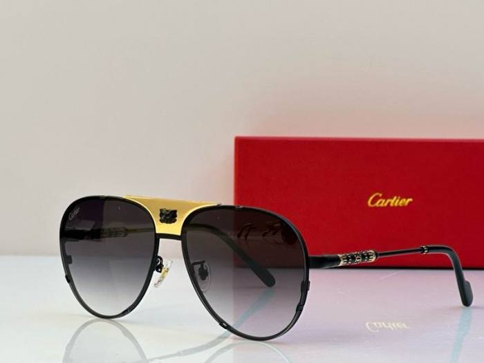CTR Sunglasses AAA-556