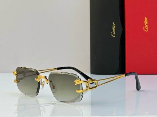 CTR Sunglasses AAA-558