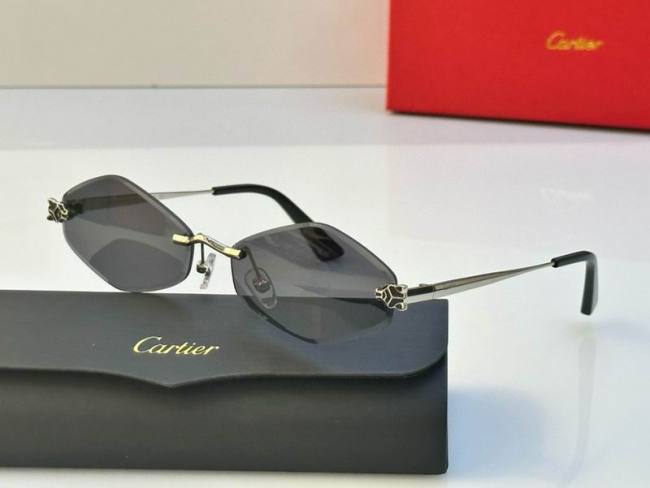 CTR Sunglasses AAA-557