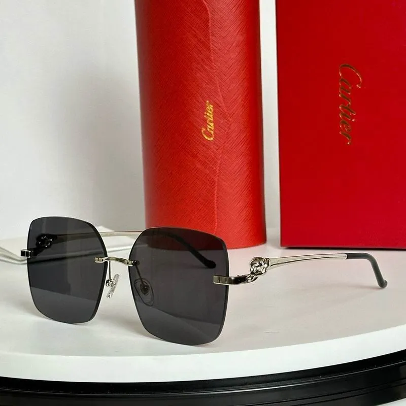 CTR Sunglasses AAA-561