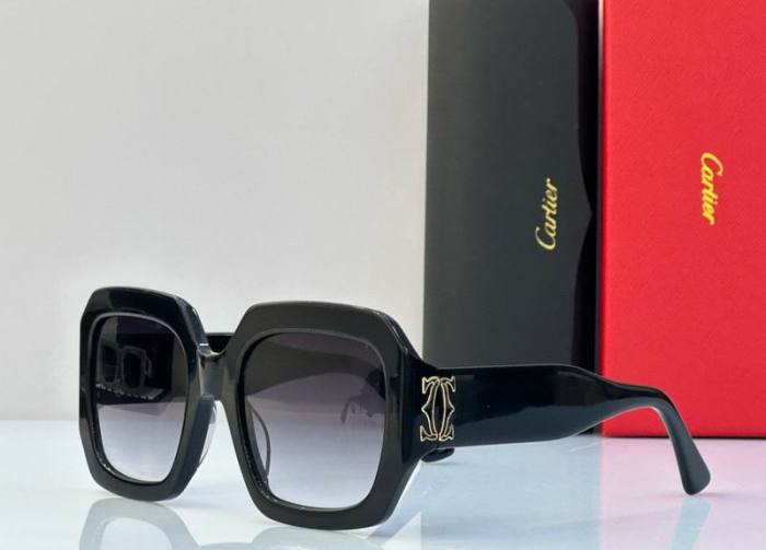 CTR Sunglasses AAA-550