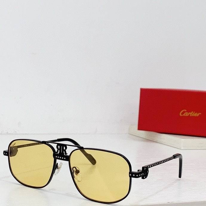 CTR Sunglasses AAA-568
