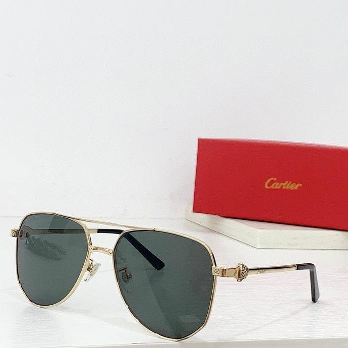 CTR Sunglasses AAA-565