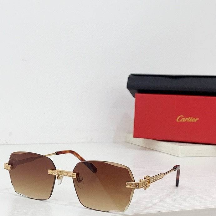 CTR Sunglasses AAA-569