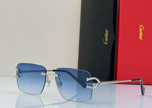 CTR Sunglasses AAA-555