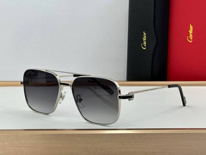 CTR Sunglasses AAA-553