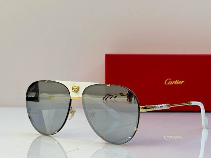 CTR Sunglasses AAA-556