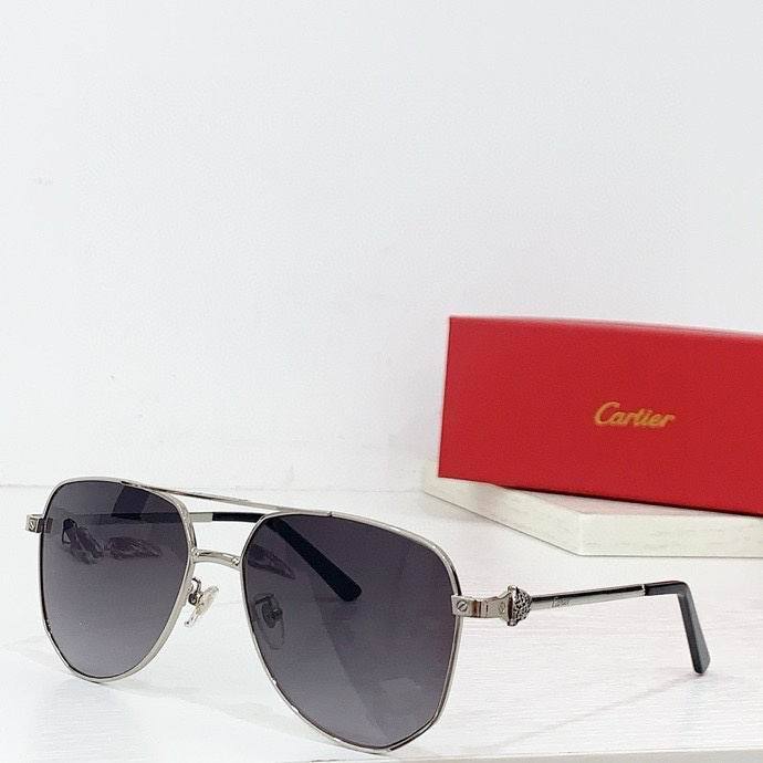 CTR Sunglasses AAA-565