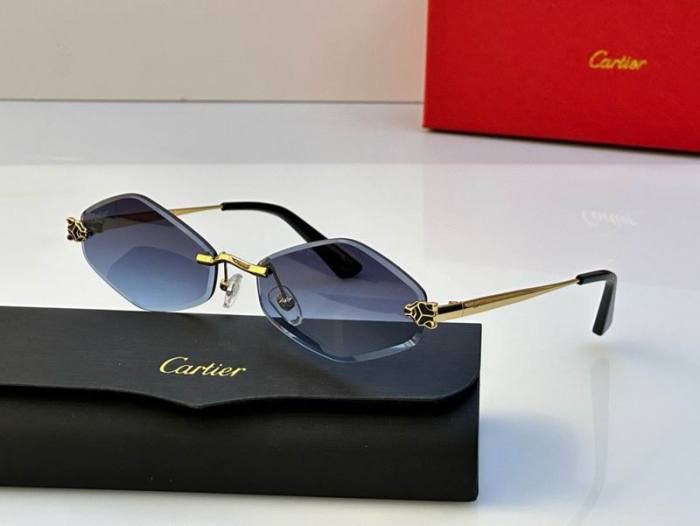 CTR Sunglasses AAA-557