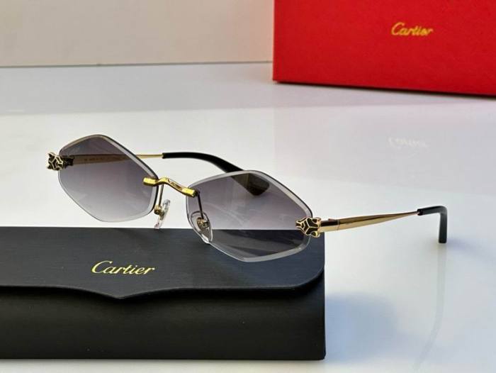 CTR Sunglasses AAA-557