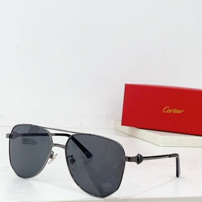 CTR Sunglasses AAA-565