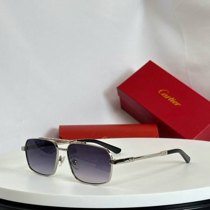 CTR Sunglasses AAA-560