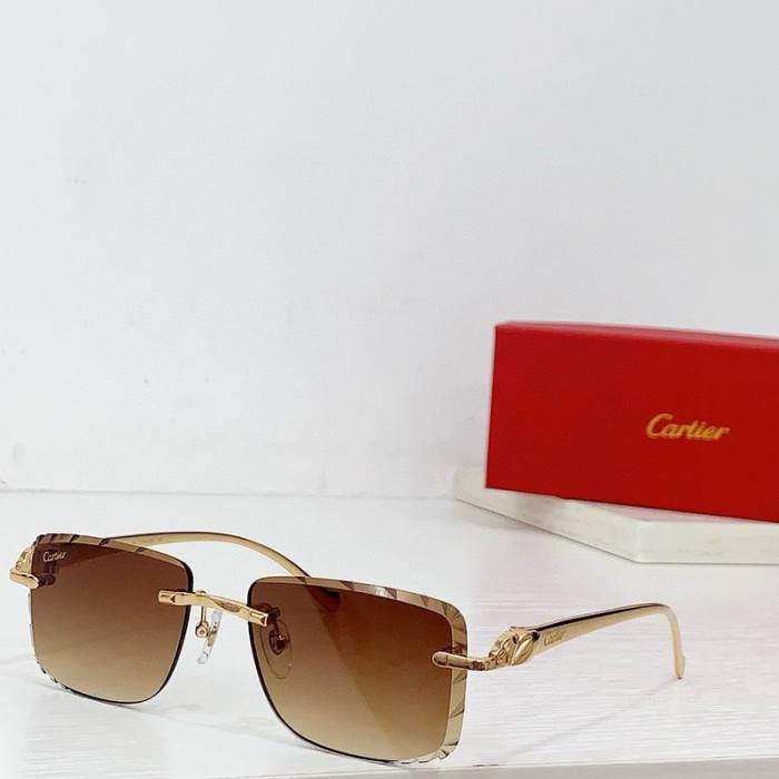 CTR Sunglasses AAA-576