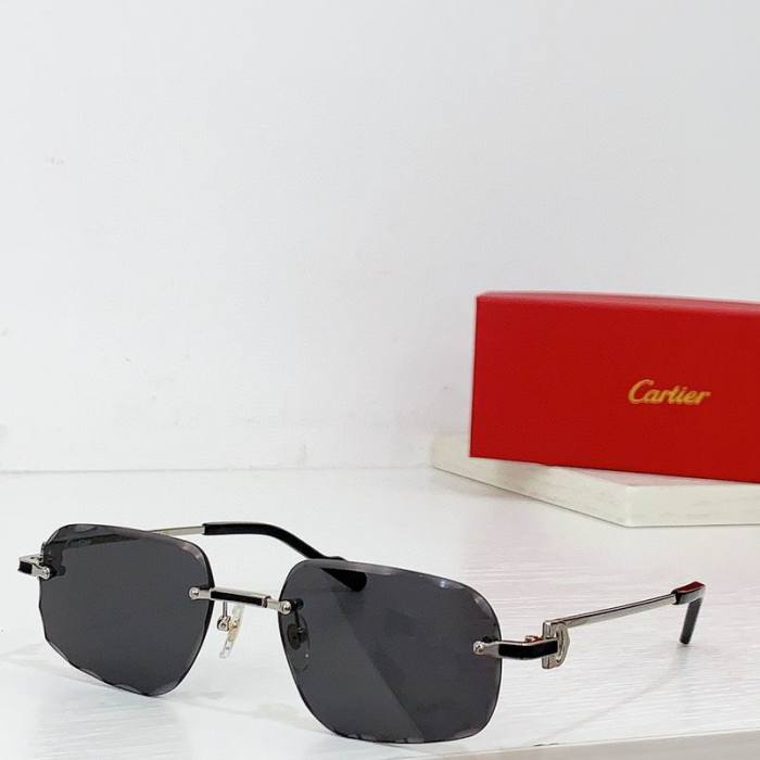 CTR Sunglasses AAA-577
