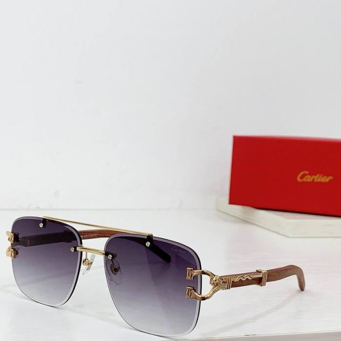 CTR Sunglasses AAA-578