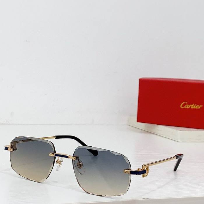 CTR Sunglasses AAA-577