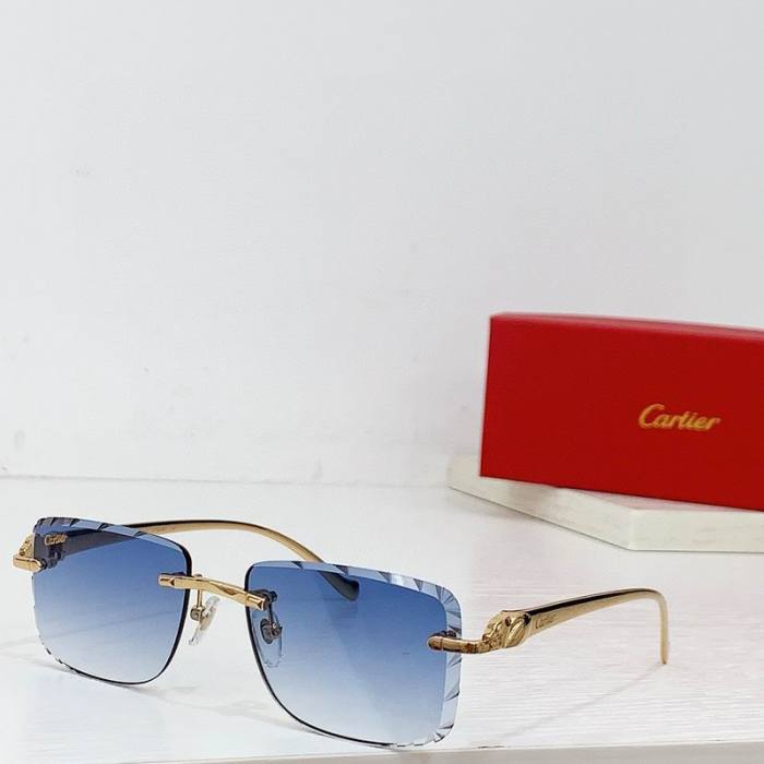 CTR Sunglasses AAA-576