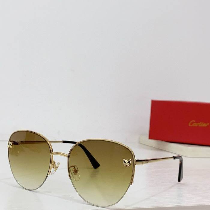 CTR Sunglasses AAA-580