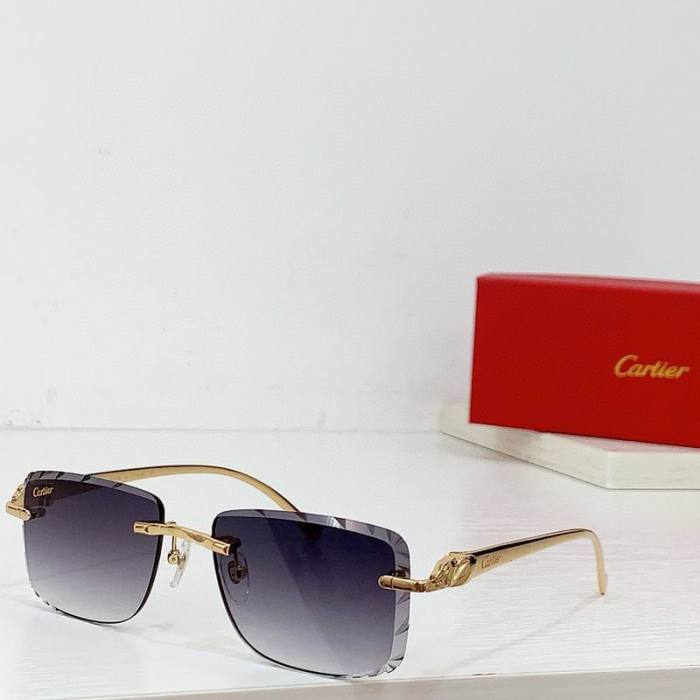 CTR Sunglasses AAA-576