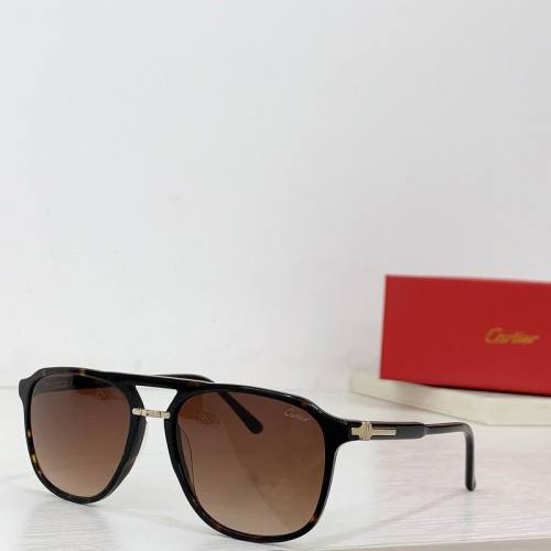 CTR Sunglasses AAA-581