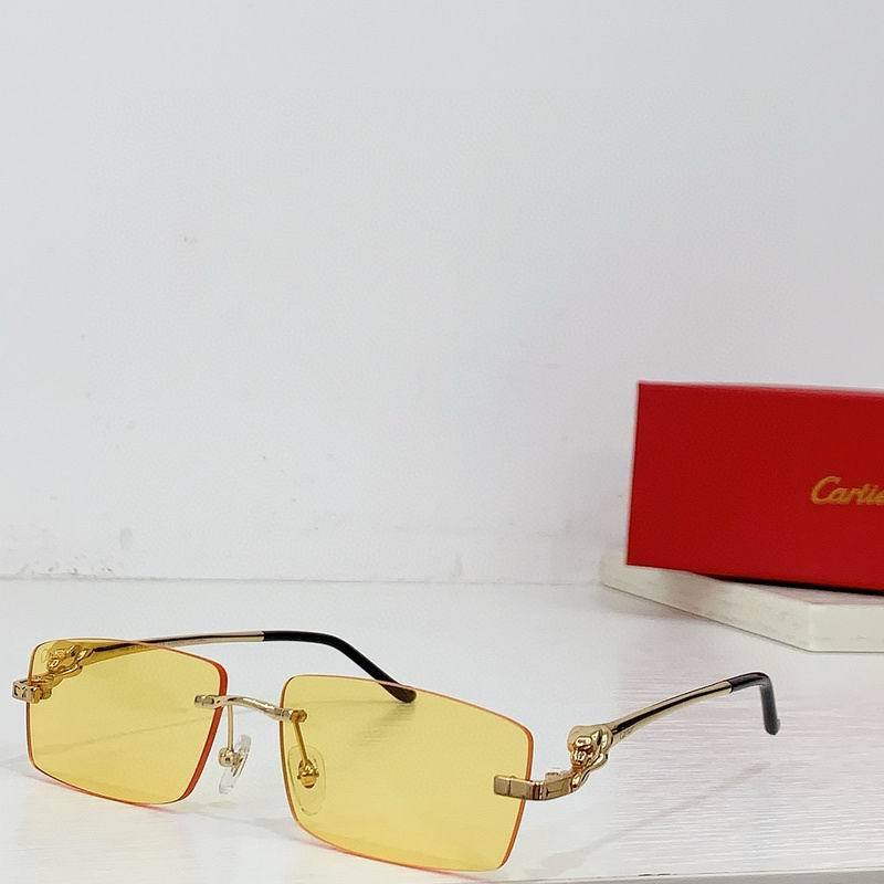 CTR Sunglasses AAA-589