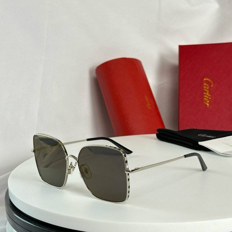 CTR Sunglasses AAA-593