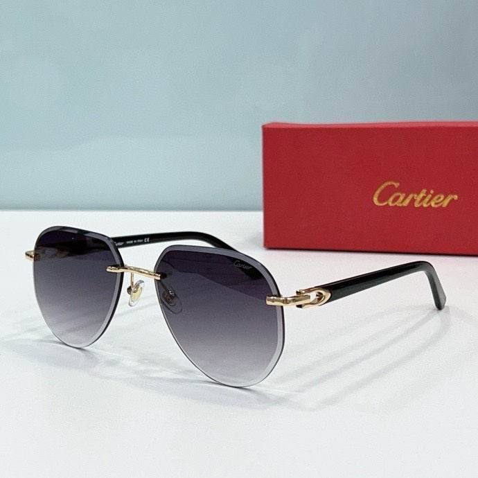 CTR Sunglasses AAA-586