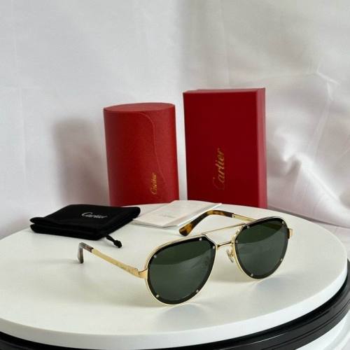 CTR Sunglasses AAA-595