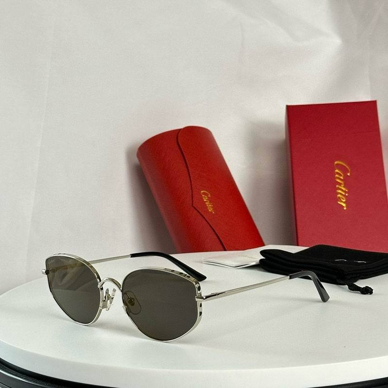 CTR Sunglasses AAA-592