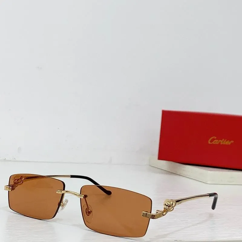 CTR Sunglasses AAA-589