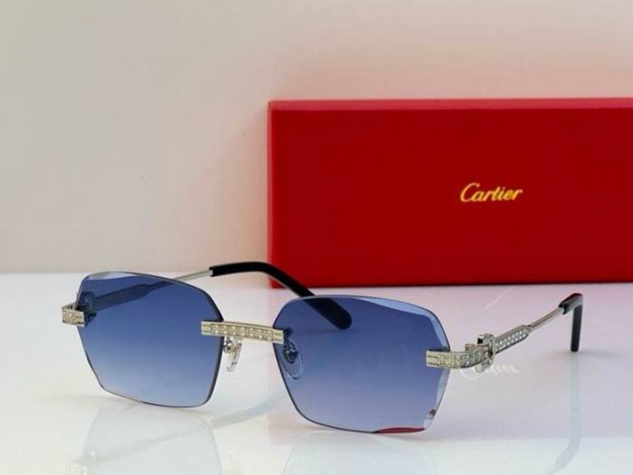 CTR Sunglasses AAA-585