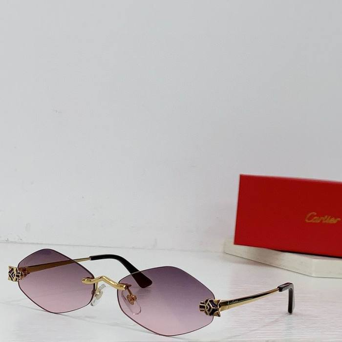 CTR Sunglasses AAA-604