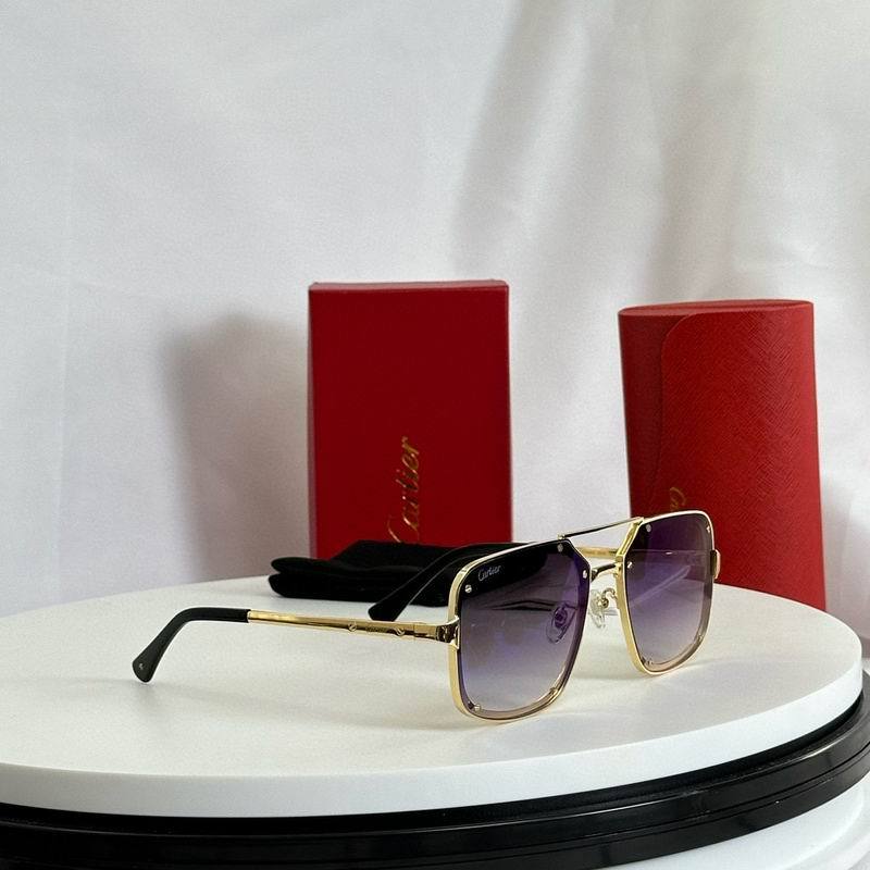 CTR Sunglasses AAA-597