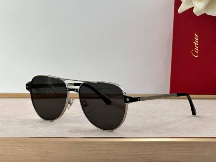 CTR Sunglasses AAA-619