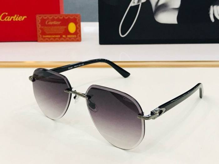 CTR Sunglasses AAA-608