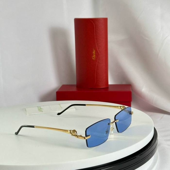 CTR Sunglasses AAA-599