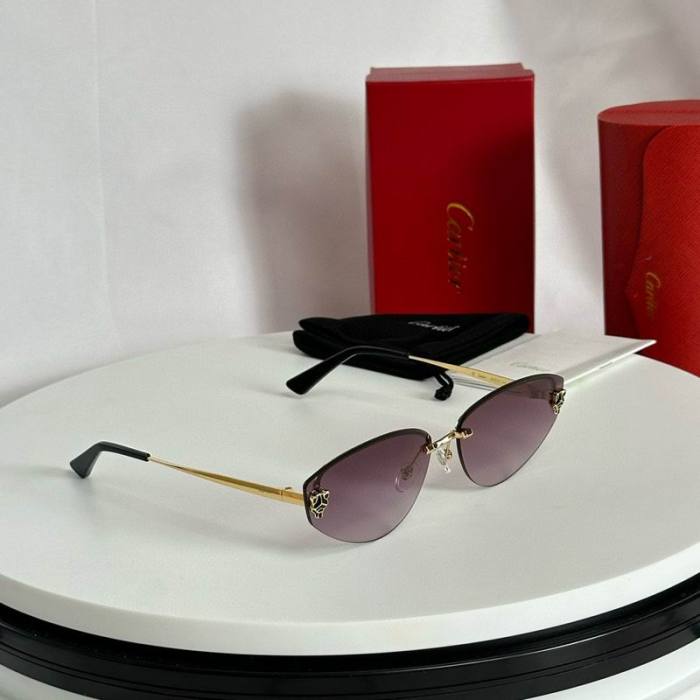 CTR Sunglasses AAA-610