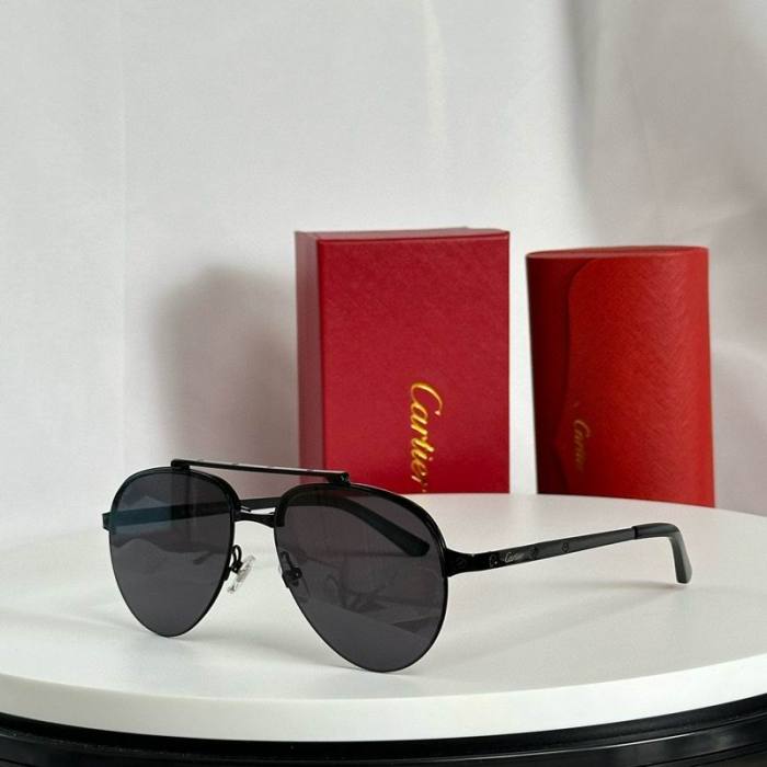 CTR Sunglasses AAA-609