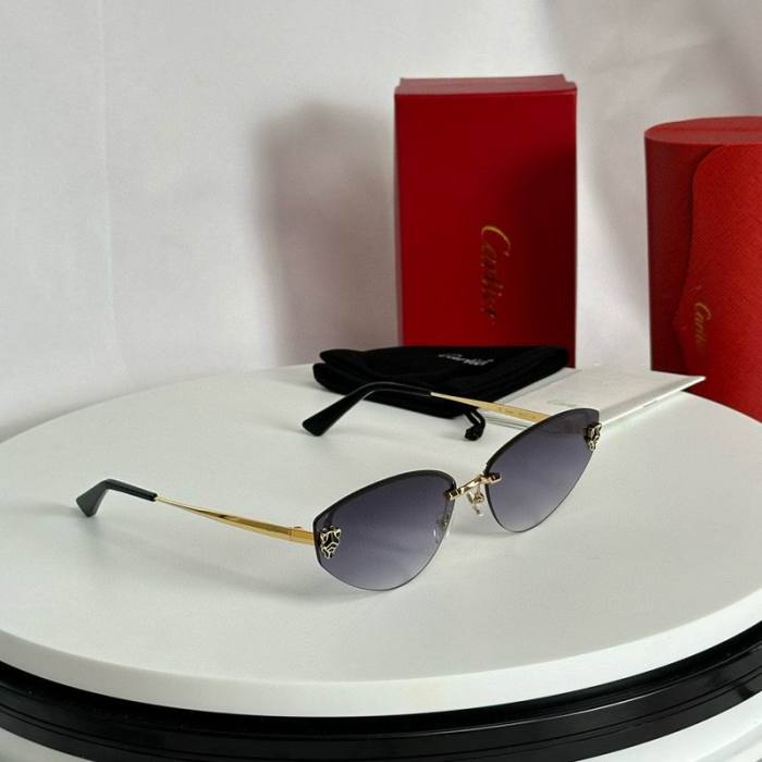 CTR Sunglasses AAA-610