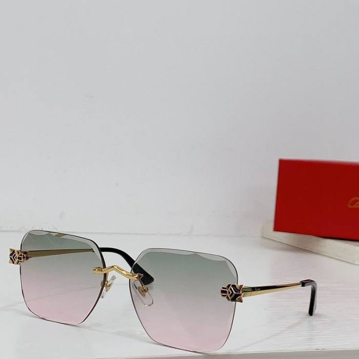 CTR Sunglasses AAA-605