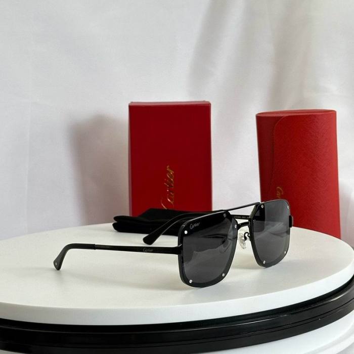CTR Sunglasses AAA-597