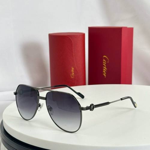 CTR Sunglasses AAA-600