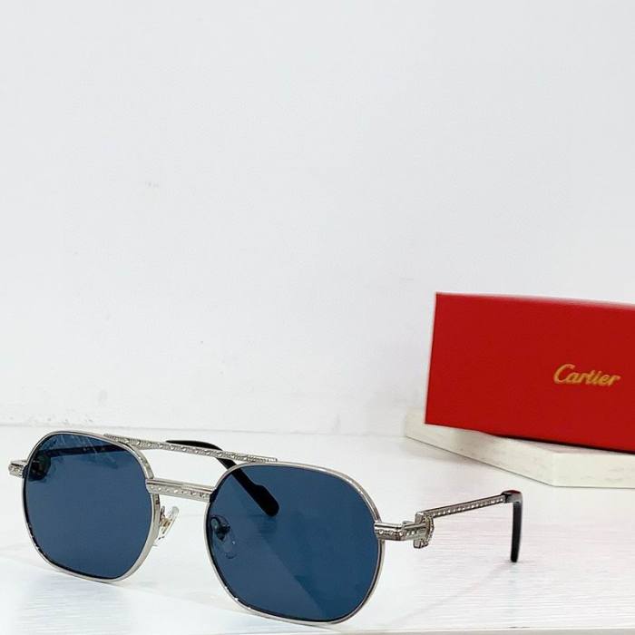 CTR Sunglasses AAA-606