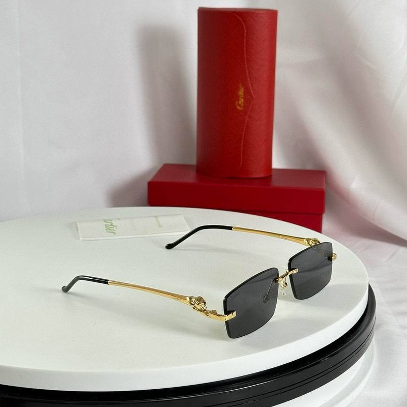CTR Sunglasses AAA-599