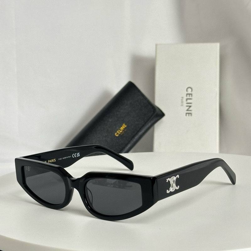 CE Sunglasses AAA-100