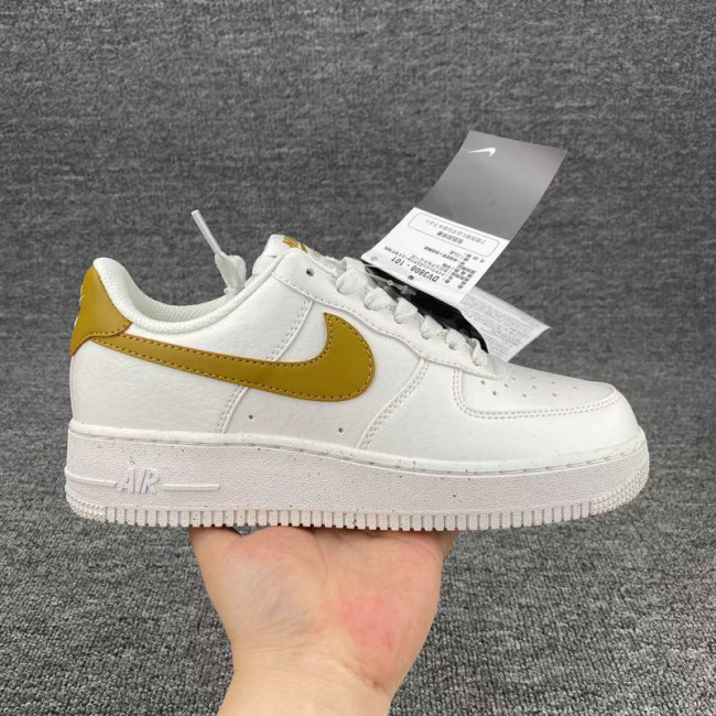 AF1 Low-252