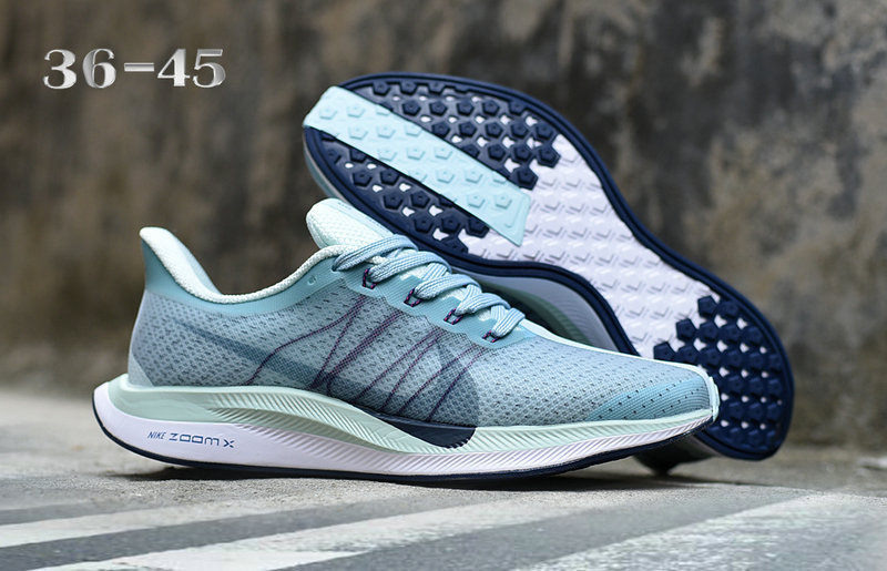 Pegasus 35 Shoes-24