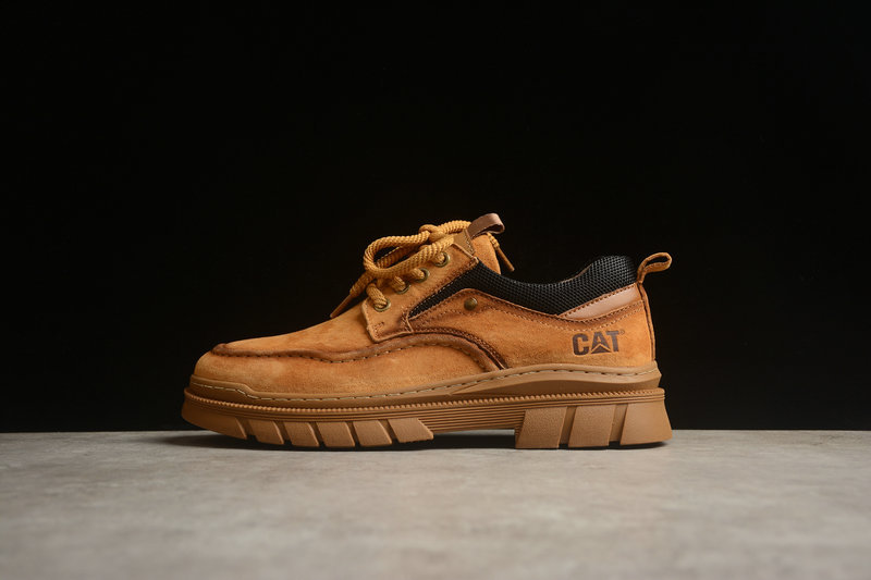 CAT shoes-1
